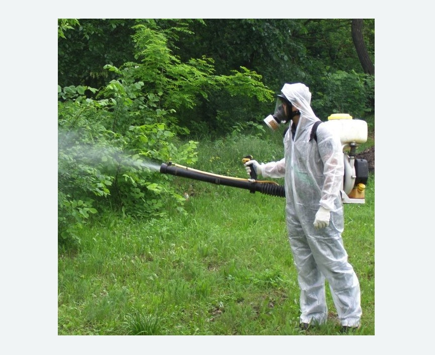 обработка дачи от клещей обработка территории от клещей в Мещовске