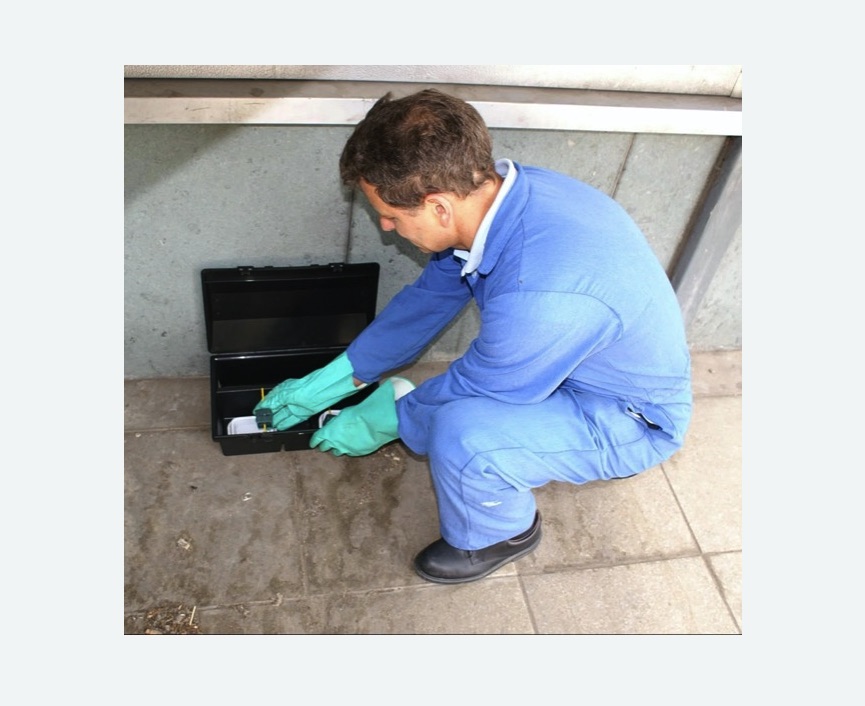 Уничтожение мышей в Мещовске Уничтожение мышей