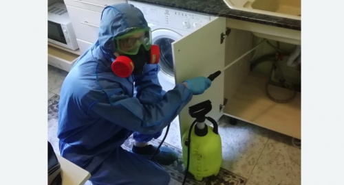 Уничтожение муравьев в квартире. Мещовск