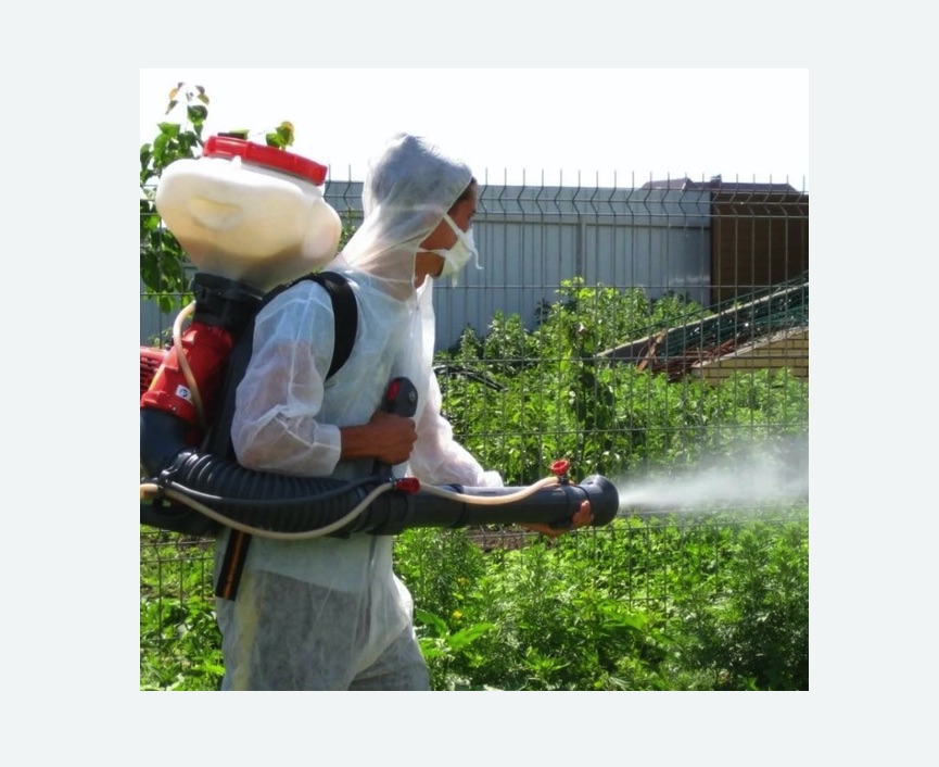 Акарицидная обработка территории в Мещовске