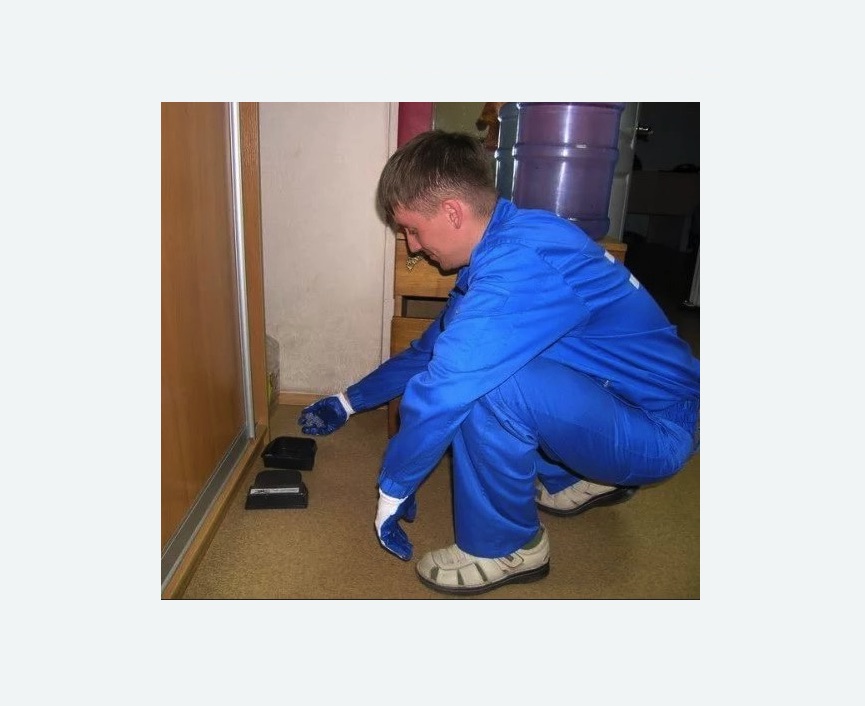 Дератизация крыс в Мещовске