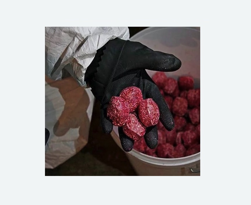 Обработка от крыс в Мещовске