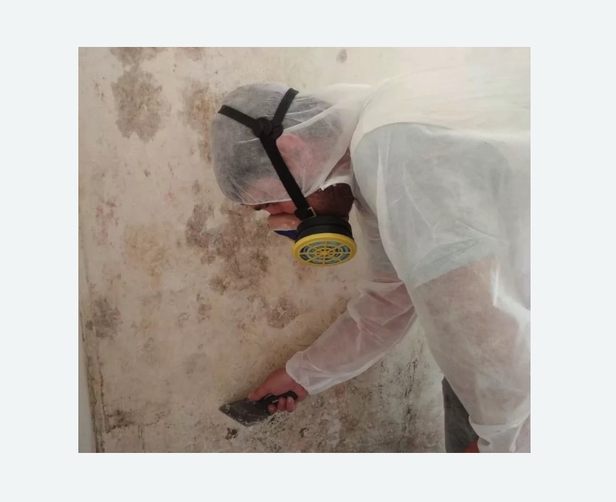Обработка стен от плесени в Мещовске
