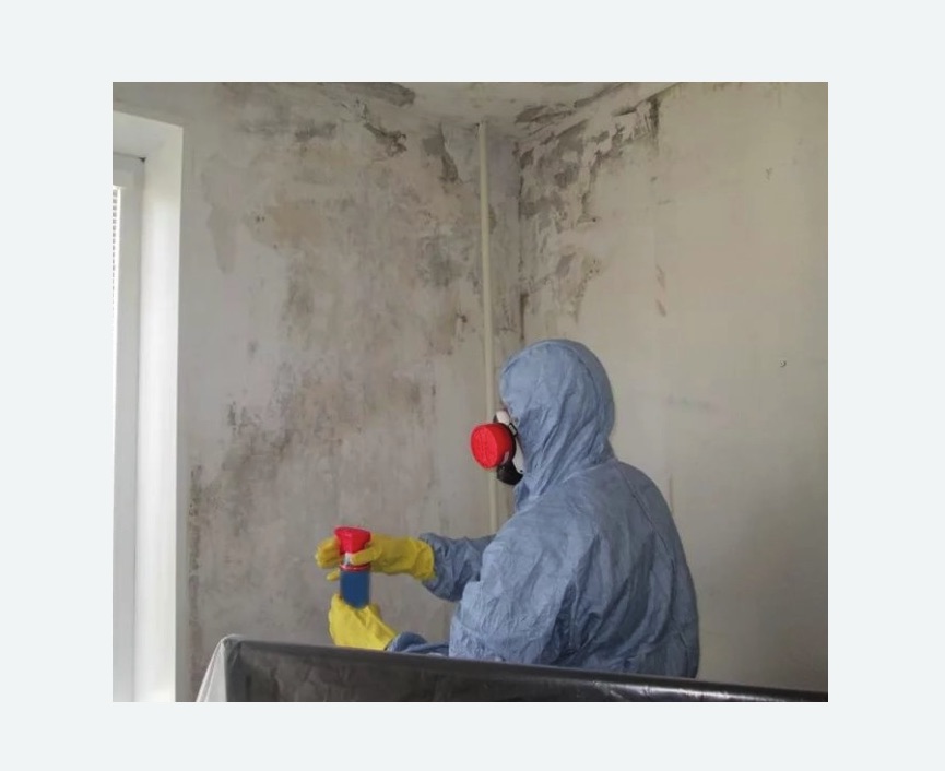 Удаление плесени в квартире в Мещовске