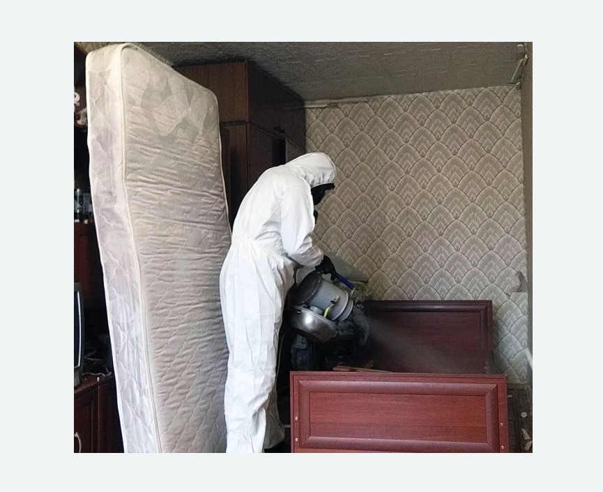 дезинфекция от клопов в Мещовске