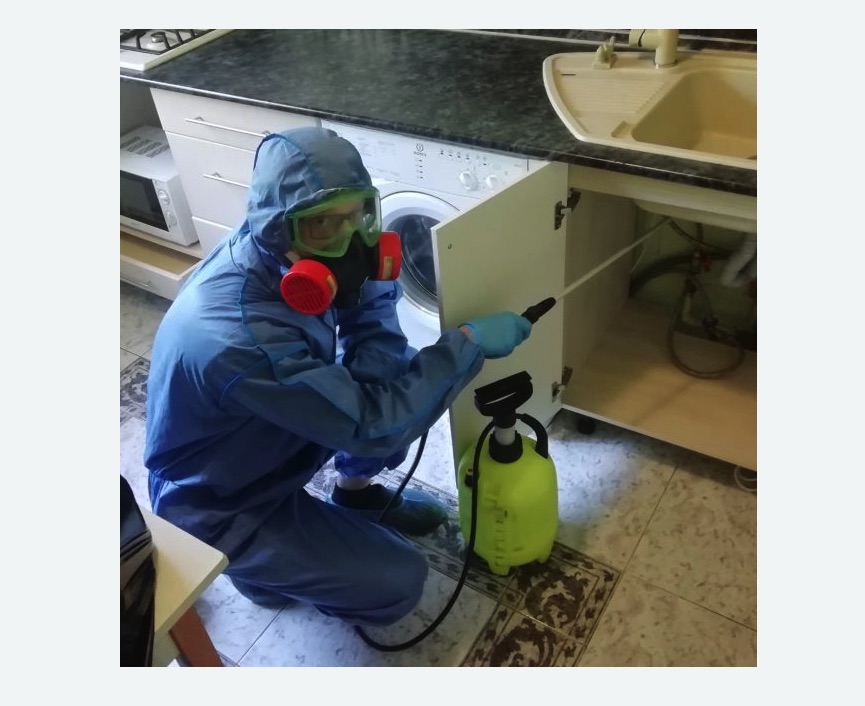 обработка от муравьев в квартире в Мещовске