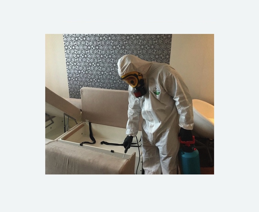 уничтожение клопов в квартире в Мещовске