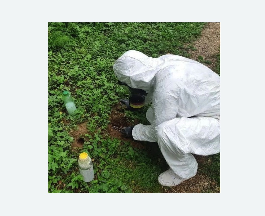 уничтожение кротов на участке в Мещовске