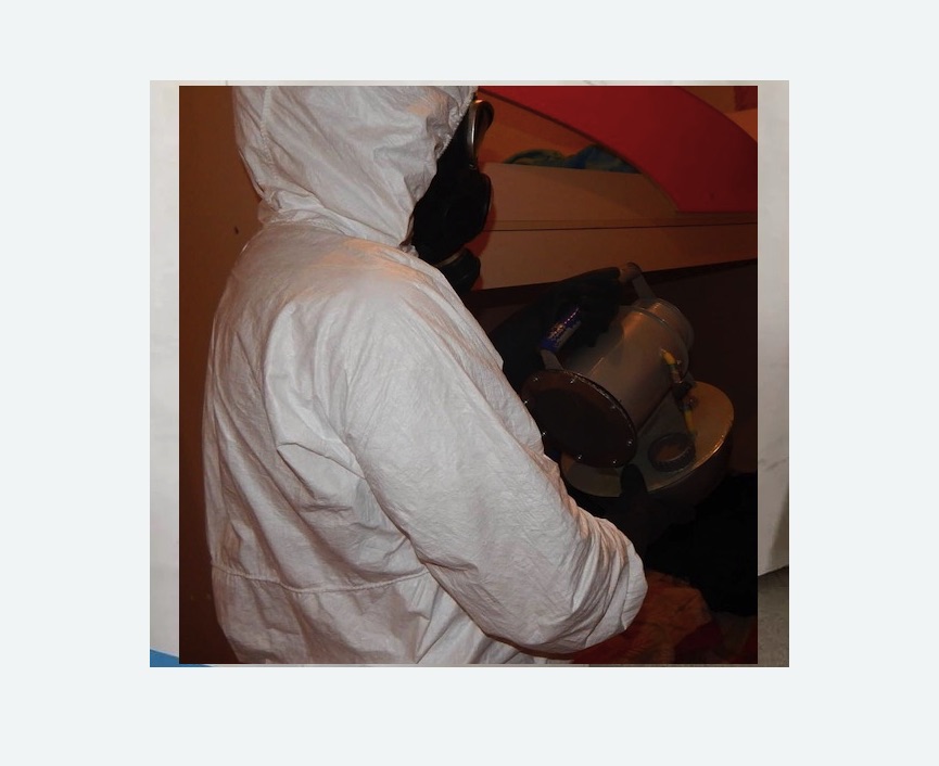 Дезинфекция от муравьев в Мещовске