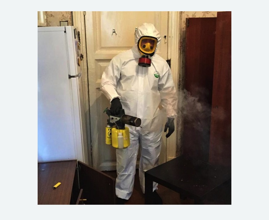 уничтожение муравьев в квартире в Мещовске